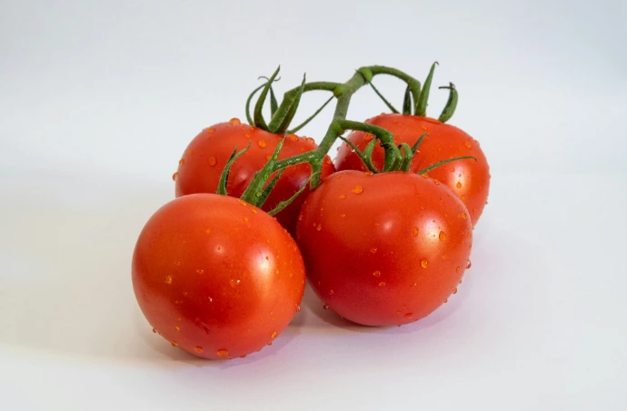 a group of tomatoes sitting on top of a white table